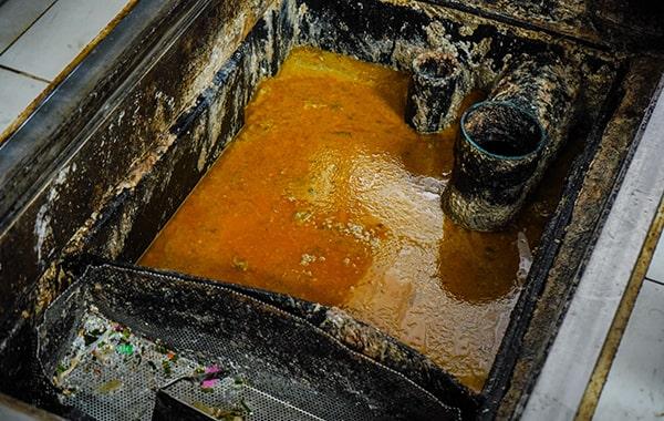 regular grease trap cleaning can prevent costly plumbing concerns and reduce the risk of fines, conserving you money in the long run